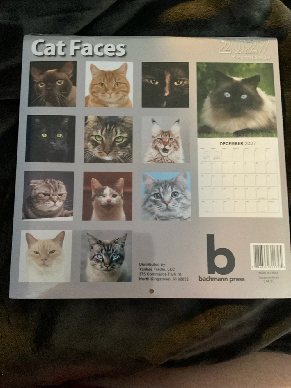 2027 Cat Faces